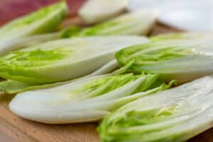 Is witlof gezond? In dit artikel lees je alles over de gezondheidsvoordelen van witlof.