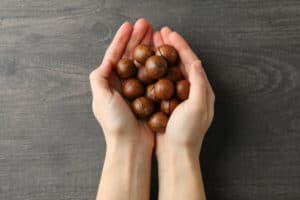 Zijn macadamia noten gezond? Of kan je ze beter niet eten? Lees in dit artikel wat onze diëtist te zeggen heeft over de gezondheidsvoordelen van macadamia.