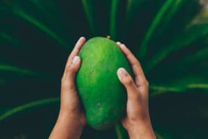 Is mango gezond? En wat zijn dan de gezondheidsvoordelen van mango? Ontdek alles over mango in dit artikel.