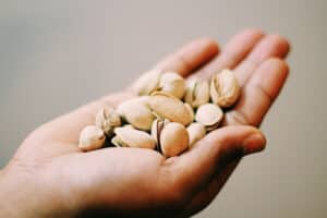Zijn pistachenoten gezond? Of kan je ze beter niet eten? Dat lees je in dit artikel.
