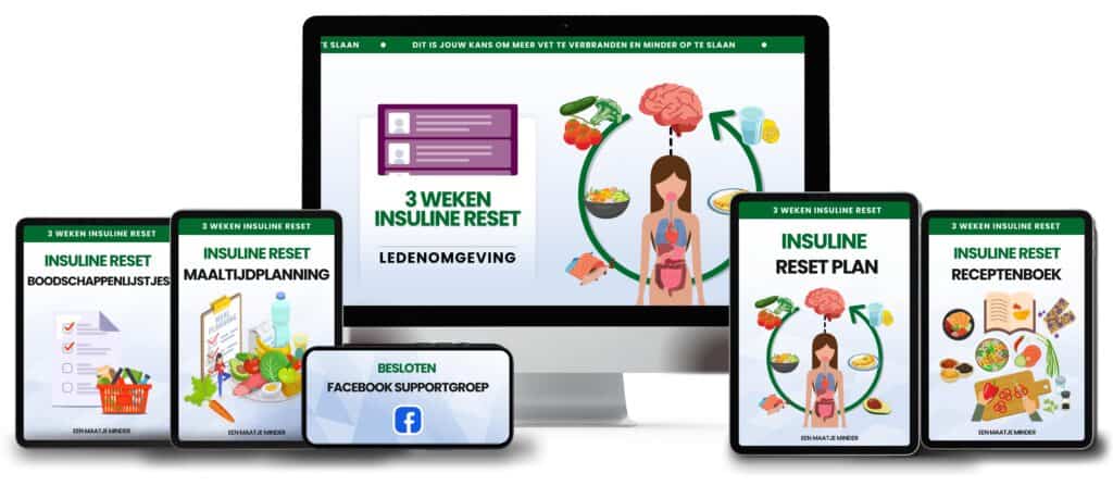 Insuline reset 1 min