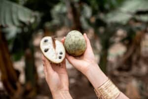 Is cherimoya gezond of niet? Dat lees je in dit artikel.